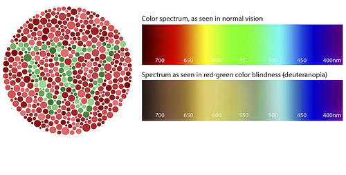 What To Know About Color Blindness The Eye Institute