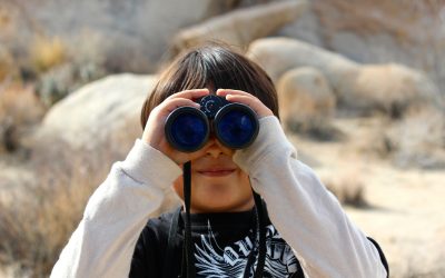 Binocular Vision: Disorders and Treatment