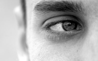 Do You Know How Your Eye Works?