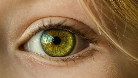 Everything You Need to Know About Prosthetic Eyes