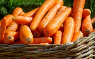 Nutrition and Your Eyes
