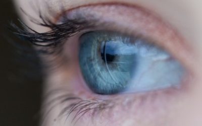 Optometry Versus Ophthalmology: What’s the Difference?