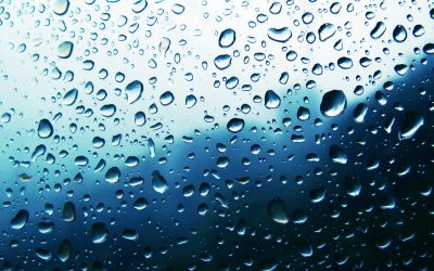 What You Need to Know About Dry Eye