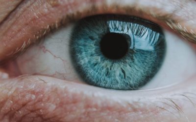 Check Out the Perks of Buying an Annual Supply of Contacts.  