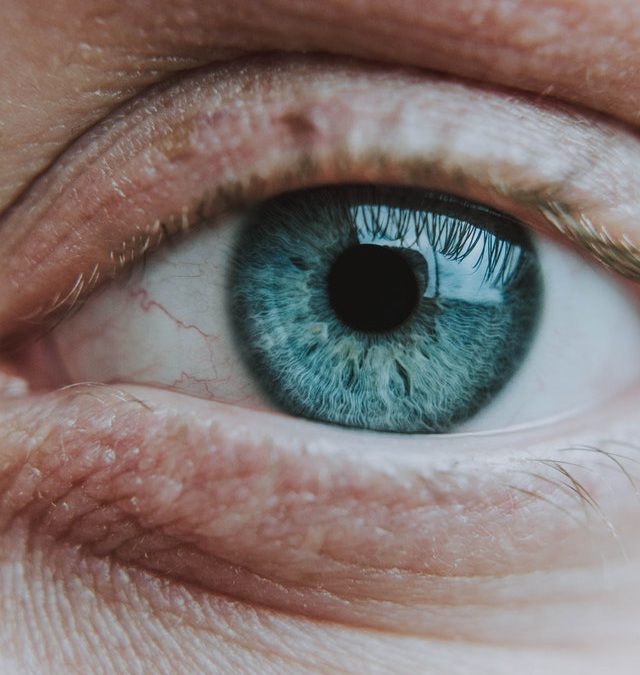 Check Out the Perks of Buying an Annual Supply of Contacts.  